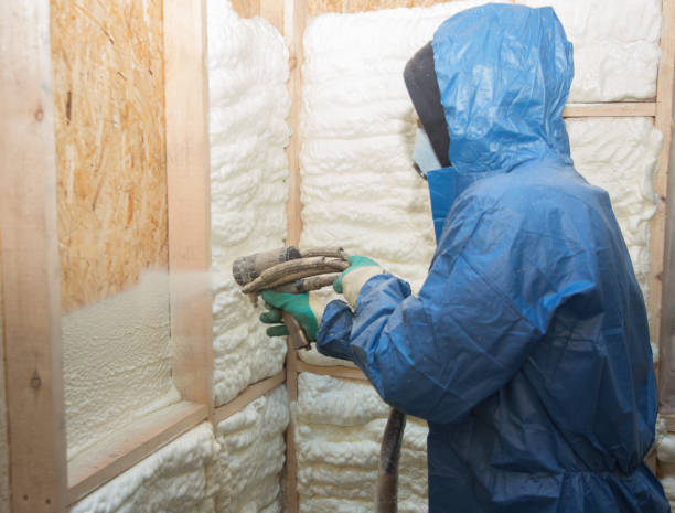 Eco-Friendly or Green Insulation Solutions in Wauseon, OH